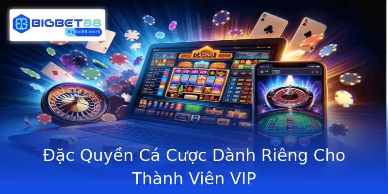 Đặc Quyền Cá Cược Dành Riêng Cho Thành Viên VIP