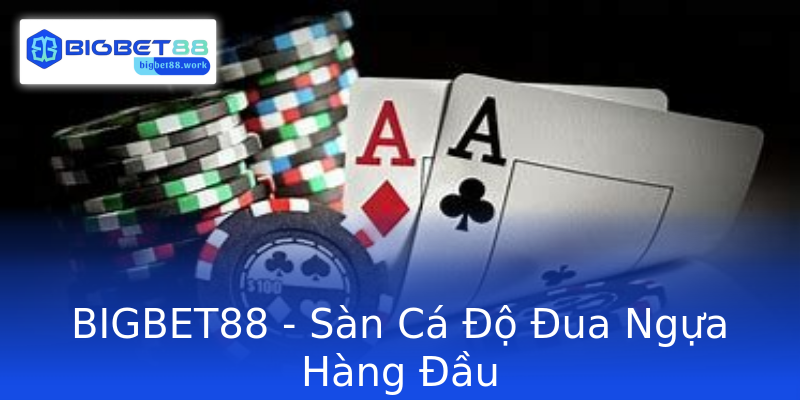 BIGBET88 - Sàn Cá Độ Đua Ngựa Hàng Đầu