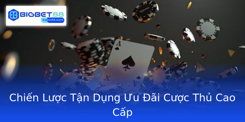 Chiến Lược Tận Dụng Ưu Đãi Cược Thủ Cao Cấp
