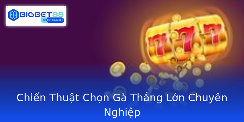 Chiến Thuật Chọn Gà Thắng Lớn Chuyên Nghiệp
