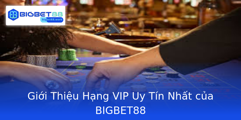 Giới Thiệu Hạng VIP Uy Tín Nhất của BIGBET88