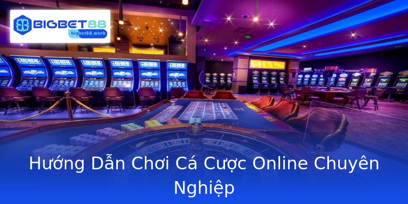 Hướng Dẫn Chơi Cá Cược Online Chuyên Nghiệp