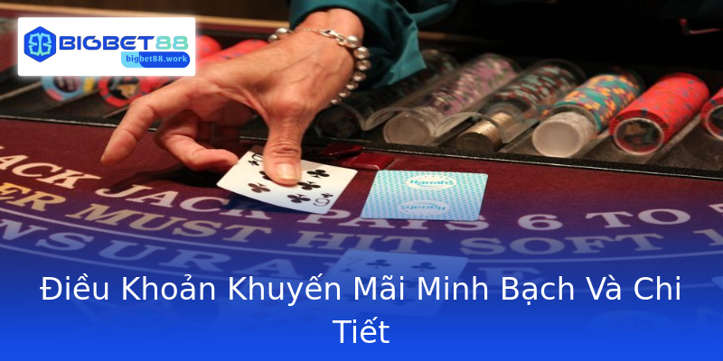 Điều Khoản Khuyến Mãi Minh Bạch Và Chi Tiết