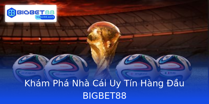 Khám Phá Nhà Cái Uy Tín Hàng Đầu BIGBET88