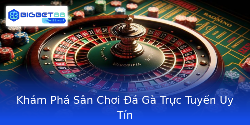 Khám Phá Sân Chơi Đá Gà Trực Tuyến Uy Tín