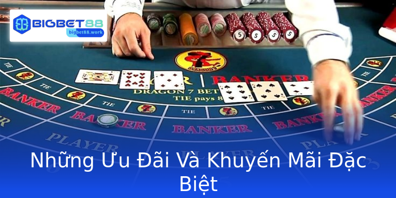 Những Ưu Đãi Và Khuyến Mãi Đặc Biệt