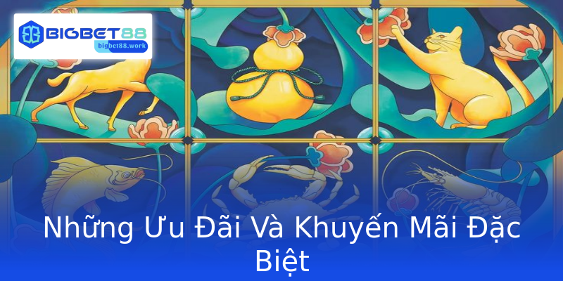 Những Ưu Đãi Và Khuyến Mãi Đặc Biệt