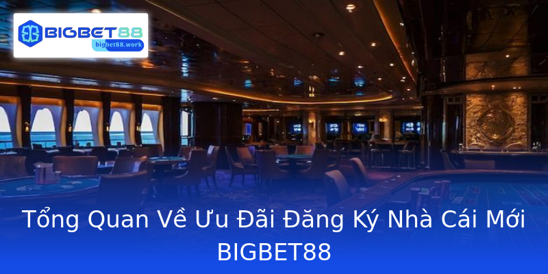 Tổng Quan Về Ưu Đãi Đăng Ký Nhà Cái Mới BIGBET88