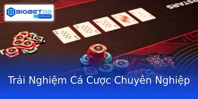 Trải Nghiệm Cá Cược Chuyên Nghiệp