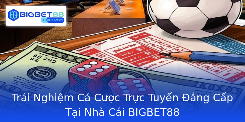Trải Nghiệm Cá Cược Trực Tuyến Đẳng Cấp Tại Nhà Cái BIGBET88