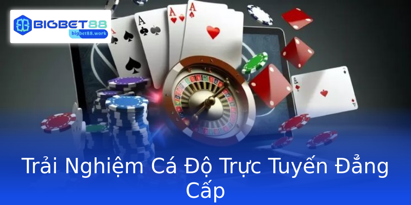 Trải Nghiệm Cá Độ Trực Tuyến Đẳng Cấp