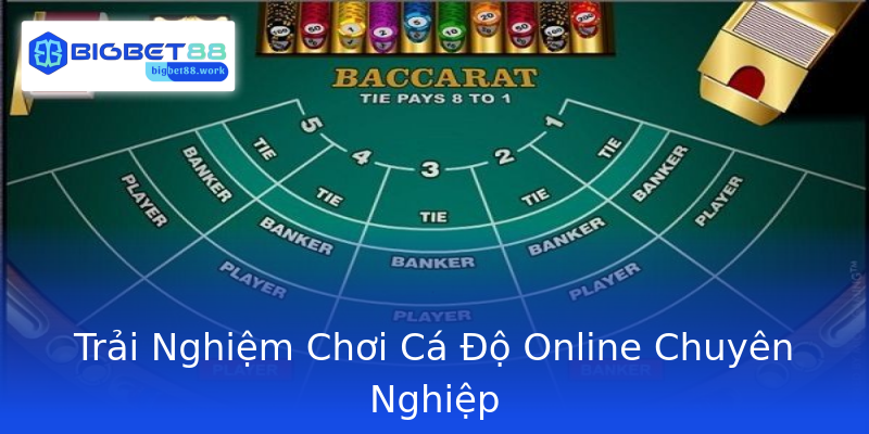 Trải Nghiệm Chơi Cá Độ Online Chuyên Nghiệp