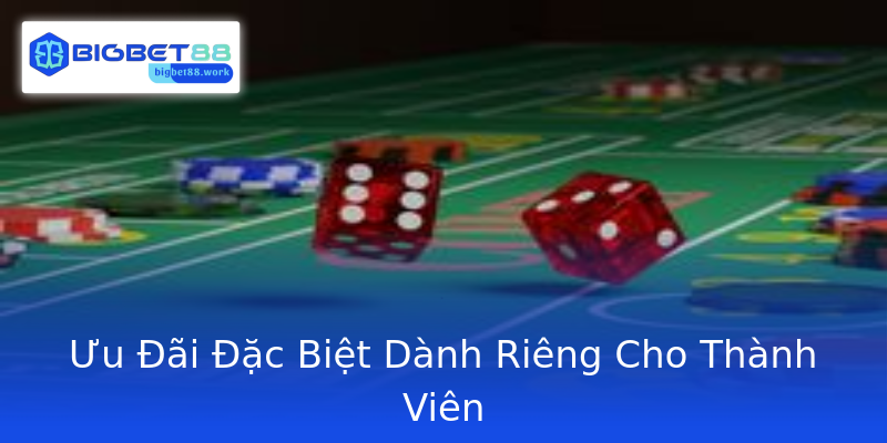Ưu Đãi Đặc Biệt Dành Riêng Cho Thành Viên